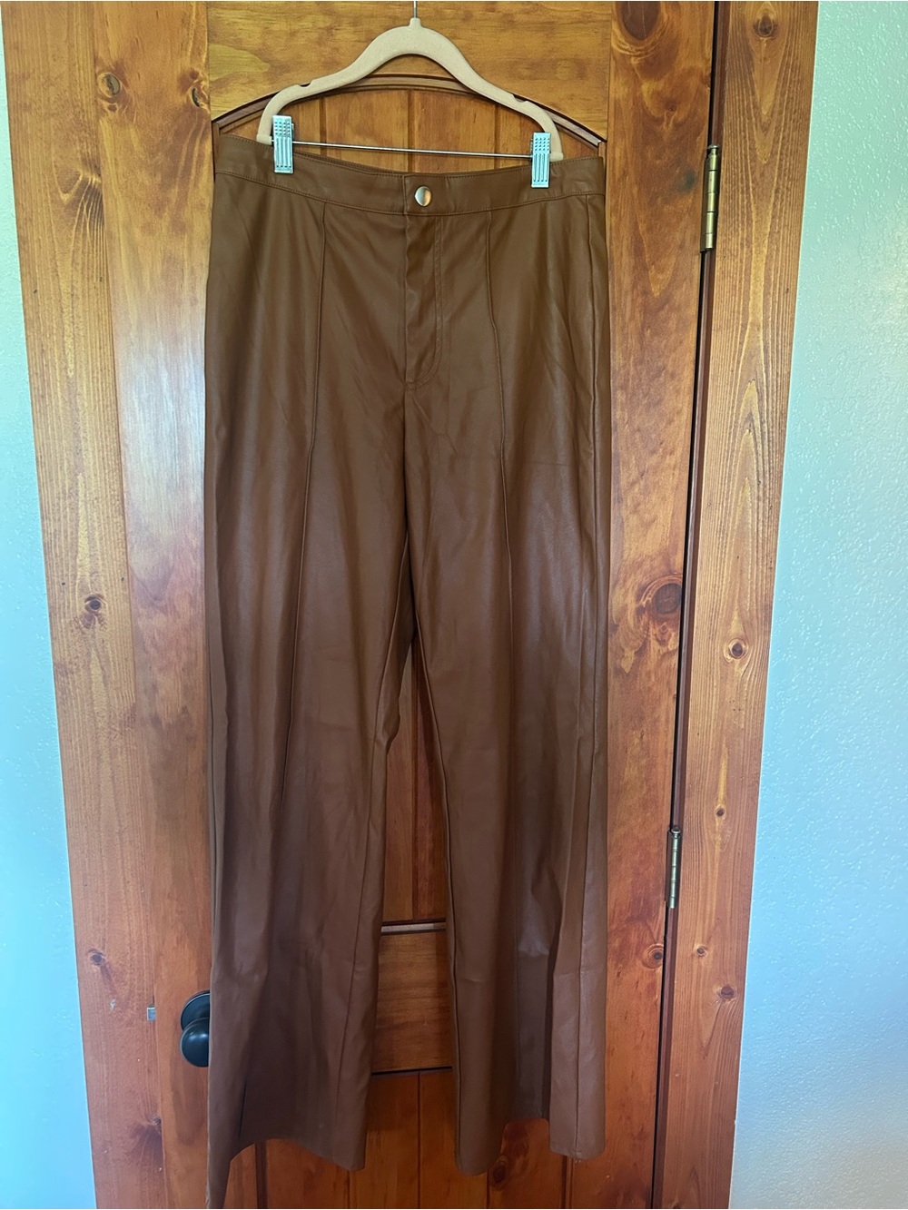 wild fable Brown Faux Leather Straight-Leg Pants